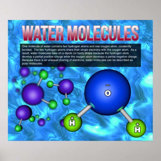 Watermoleculen Poster (Voorkant)