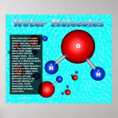 Watermoleculen Poster (Voorkant)