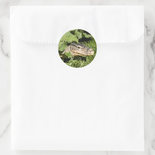 Watermonitor hagedis ronde sticker (Tas)