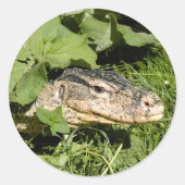 Watermonitor hagedis ronde sticker (Voorkant)