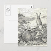 Waterondergang Briefkaart (Voorkant / Achterkant)