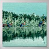 Waterong babybankkaarten poster (Voorkant)