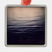 WaterPeace Ornament 2