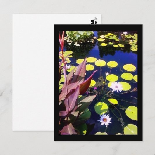 waterpoottuin briefkaart (Voorkant / Achterkant)