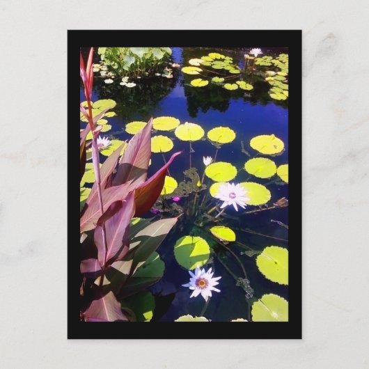 waterpoottuin briefkaart (Voorkant)