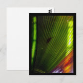 waterpoottuin briefkaart (Voorkant / Achterkant)