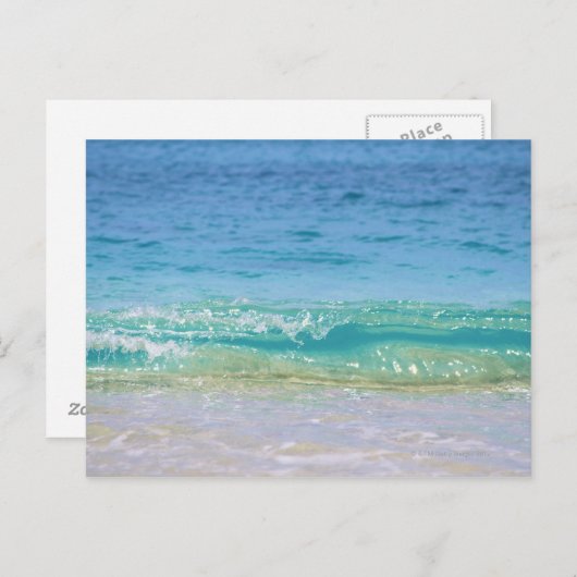 Waterrand 3 briefkaart (Voorkant / Achterkant)