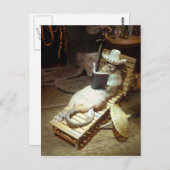 Waterratten die genieten van de levensduur van het briefkaart (Voorkant / Achterkant)