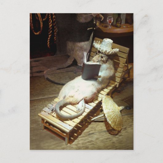 Waterratten die genieten van de levensduur van het briefkaart (Voorkant)