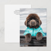 Waterredding uitkijk puppy bedankkaart (Voorkant / Achterkant)