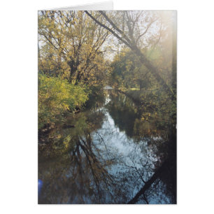 Waterreflecterende bomen