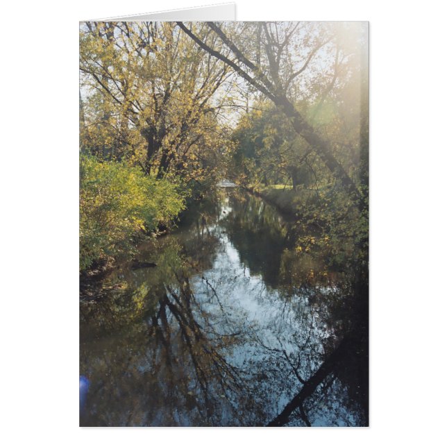 Waterreflecterende bomen (Voorkant)