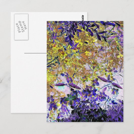 WATERREFLECTIES BRIEFKAART (Voorkant / Achterkant)