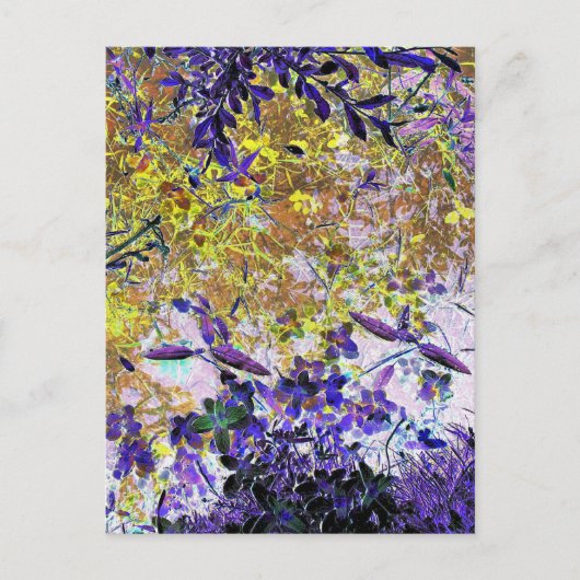 WATERREFLECTIES BRIEFKAART (Voorkant)