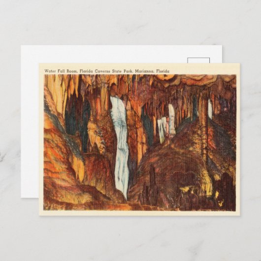 waterreservaat Florida Caverns State Park Briefkaart (Voorkant / Achterkant)