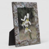 Waterrimpelregendruppels Fotoplaat (Zijkant)