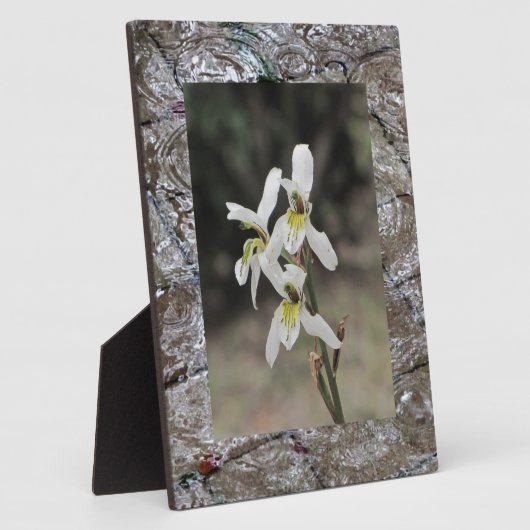 Waterrimpelregendruppels Fotoplaat (Zijkant)