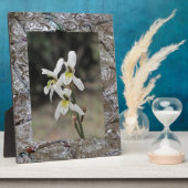 Waterrimpelregendruppels Fotoplaat (Zijkant)