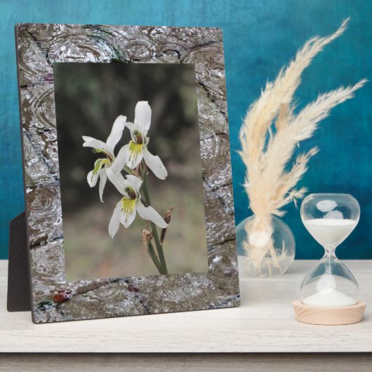 Waterrimpelregendruppels Fotoplaat (Zijkant)