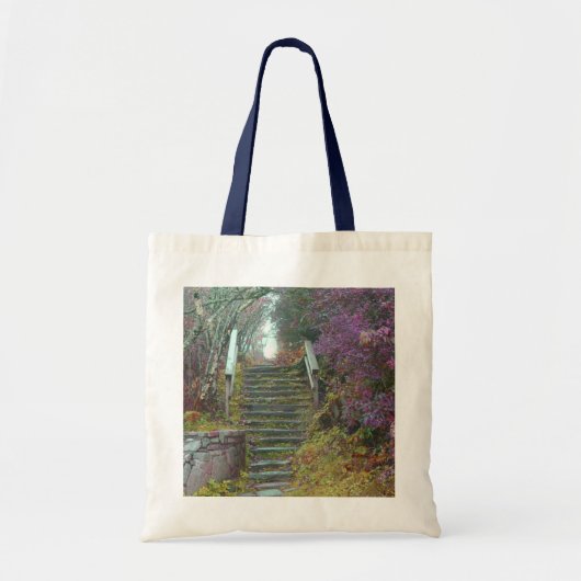 Waterrock Knob op de Blue Ridge Parkway Tote Bag (Voorkant)