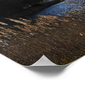 Waterscape Photo Poster (Hoek)