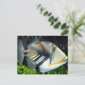 waterscènes brengen vissen teweeg briefkaart (Staand voorkant)