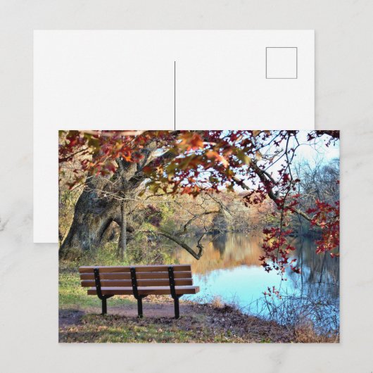 Waterschap met foto van bank briefkaart (Voorkant / Achterkant)