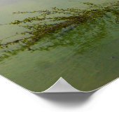 Waterschap Poster (Hoek)