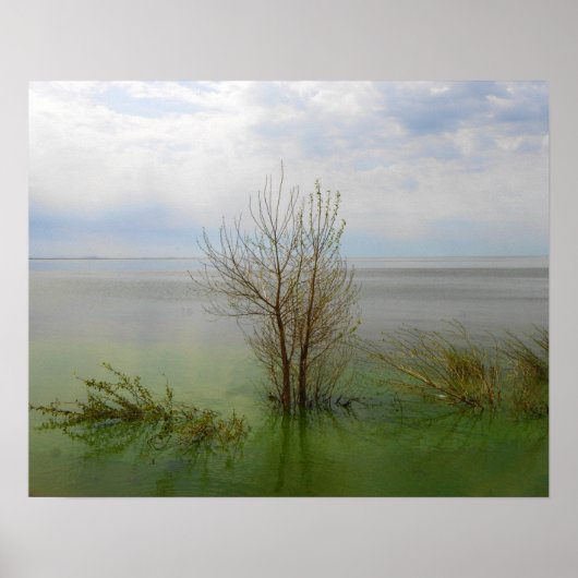 Waterschap Poster (Voorkant)