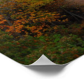 Waterschap van Minnesota Poster (Hoek)