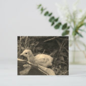 Watersgat - briefkaart (Staand voorkant)