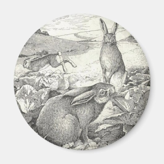 Watership Down Magneet (Voorkant)
