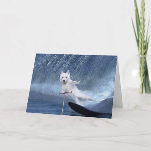 Waterskiën Westie! Kaart (Voorkant)