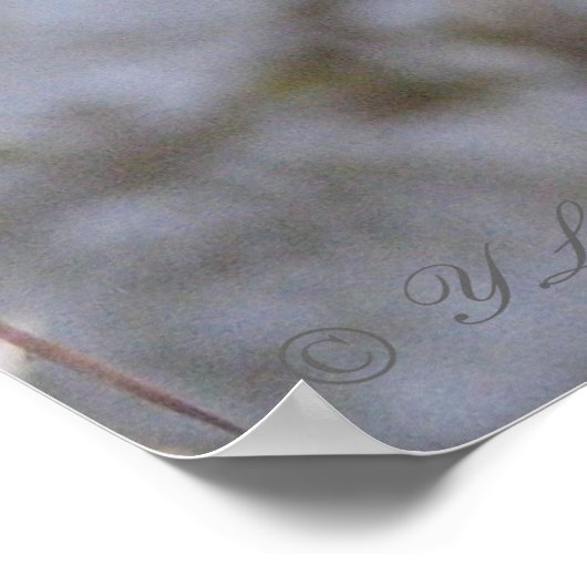 Waterslang Poster (Hoek)