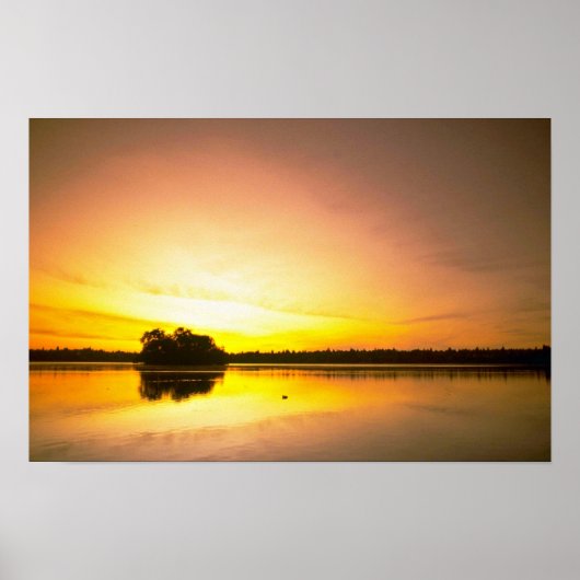 Waterspiegel Poster (Voorkant)