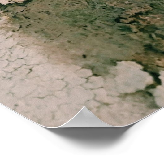 Waterspinazie in de damp poster (Hoek)