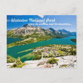 Waterton National Peace Park Postcard Briefkaart (Voorkant)