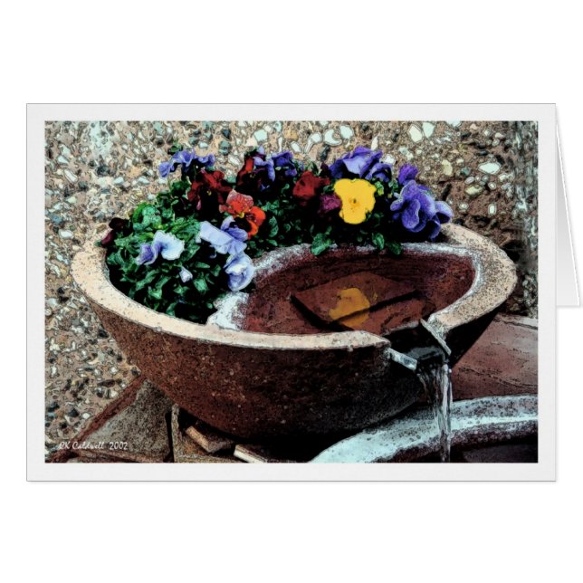 Watertuin (Voorkant Horizontaal)