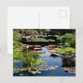 Watertuin Briefkaart (Voorkant / Achterkant)