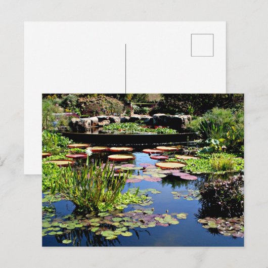 Watertuin Briefkaart (Voorkant / Achterkant)