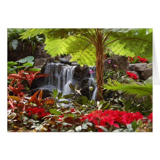 Waterval (Voorkant Horizontaal)