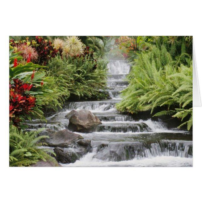 Waterval (Voorkant Horizontaal)