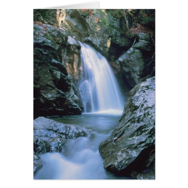 Waterval # 100 (Voorkant)