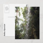 Waterval # 2 briefkaart (Voorkant / Achterkant)
