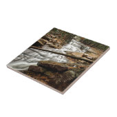 Waterval 4 tegeltje (Zijkant)