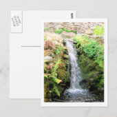 Waterval 6 Venezolaanse Oerwoud landschapskunst Briefkaart (Voorkant / Achterkant)