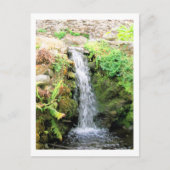 Waterval 6 Venezolaanse Oerwoud landschapskunst Briefkaart (Voorkant)