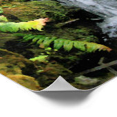 Waterval 6 Venezolaanse Oerwoud landschapskunst Poster (Hoek)