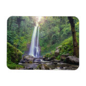 Waterval | Bali, Indonesië Magneet (Horizontaal)