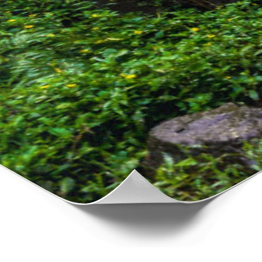 Waterval | Bali, Indonesië Poster (Hoek)